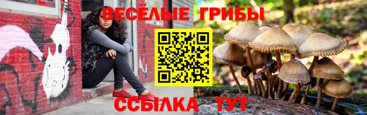 Купить наркотики цена  Cocaine  Вход с VPN  Усть-Илимск  Меф МЯУ МЯУ   Гашиш  Бошки Шишки 