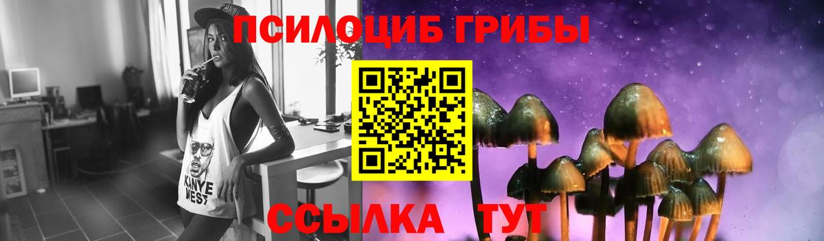 Псилоцибиновые грибы GOLDEN TEACHER  наркота  Усть-Илимск  Вход с VPN 